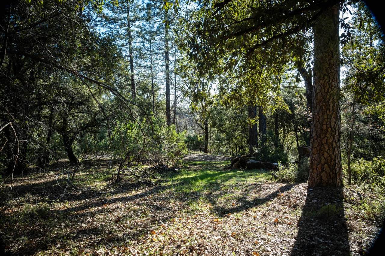 https://bt-photos.global.ssl.fastly.net/sacramento/1280_boomver_1_561049691-2.jpg