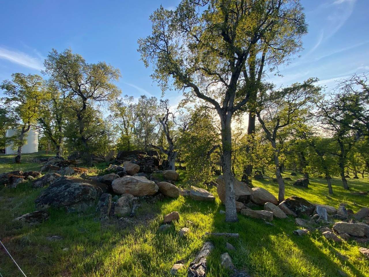 https://bt-photos.global.ssl.fastly.net/sacramento/1280_boomver_1_561049808-2.jpg