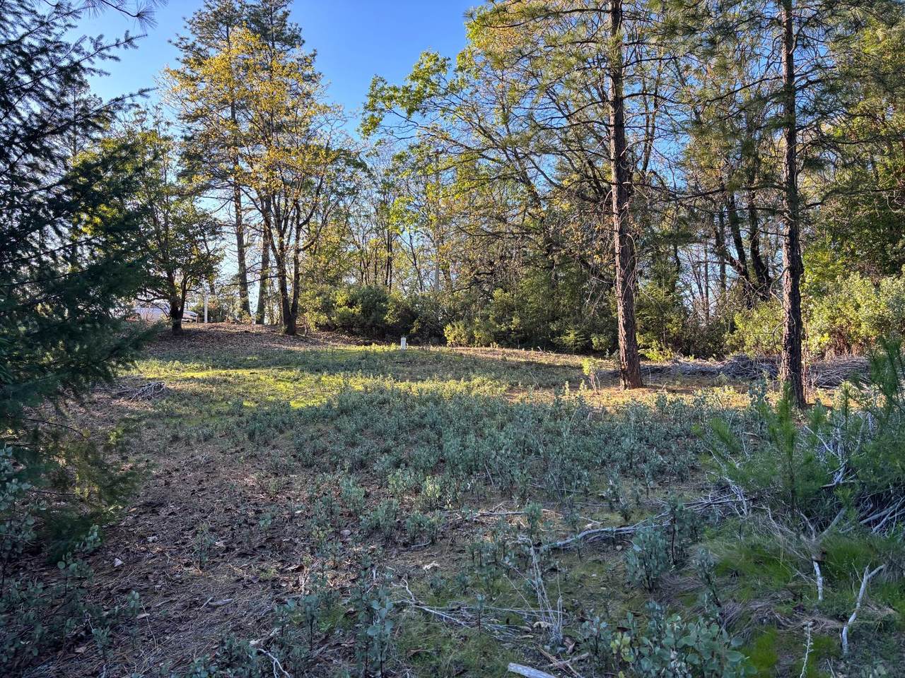 4110 Pine Mountain Road - Photo 1
