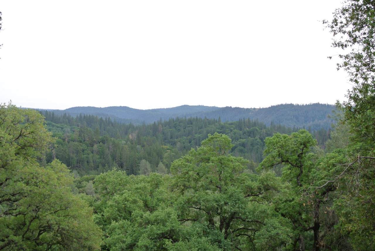 https://bt-photos.global.ssl.fastly.net/sacramento/1280_boomver_1_561058198-2.jpg