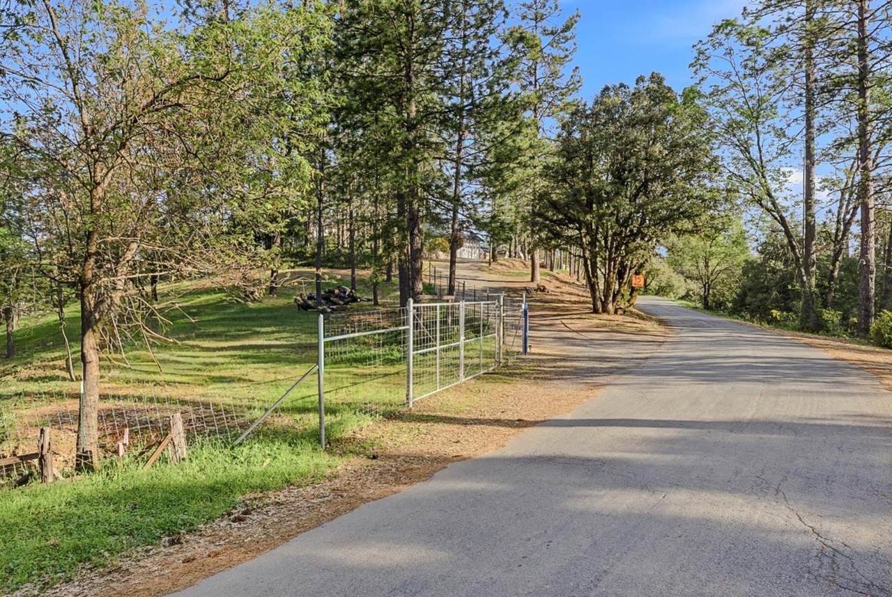 https://bt-photos.global.ssl.fastly.net/sacramento/1280_boomver_1_561059348-2.jpg