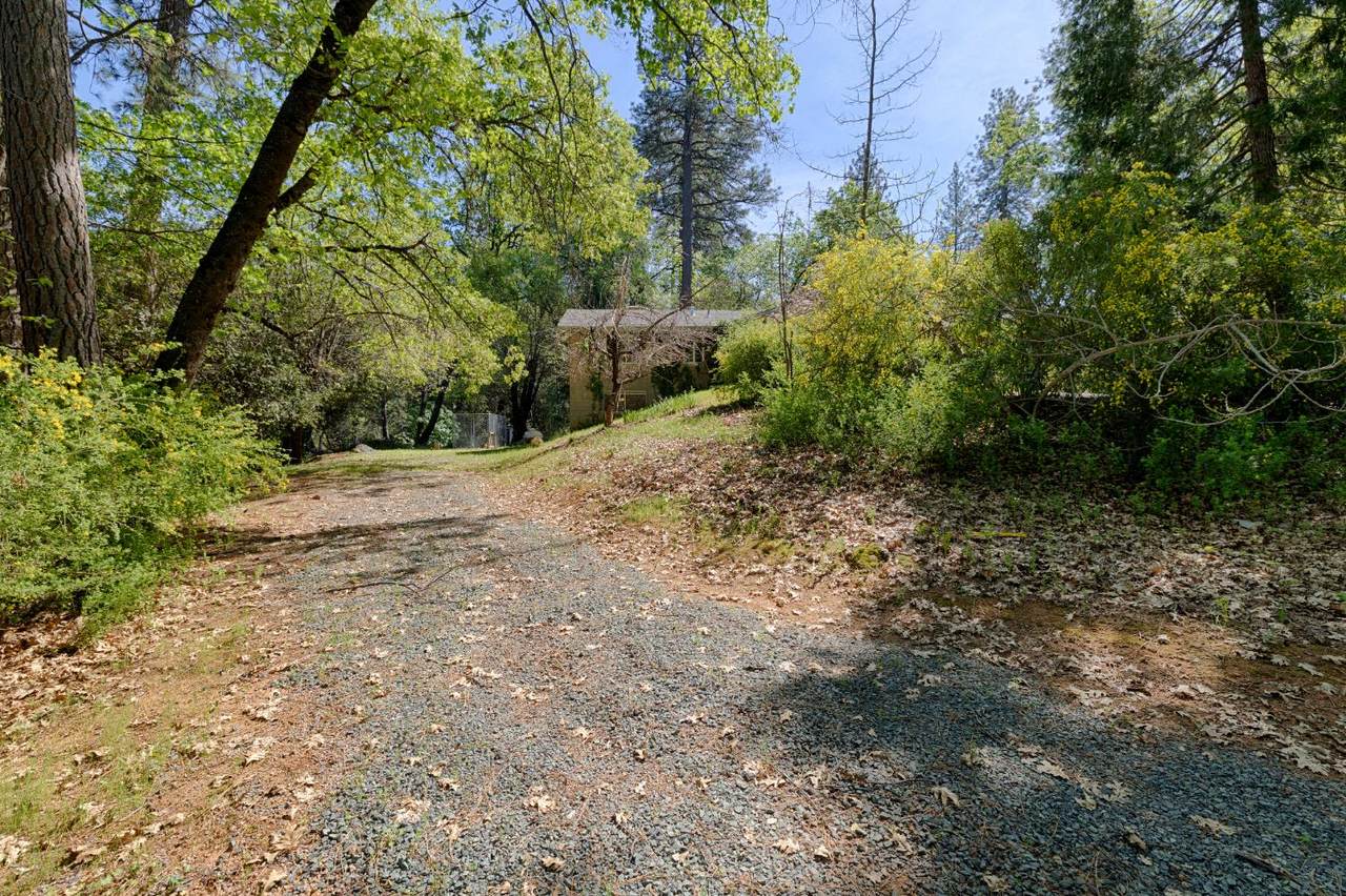 https://bt-photos.global.ssl.fastly.net/sacramento/1280_boomver_1_561059601-2.jpg