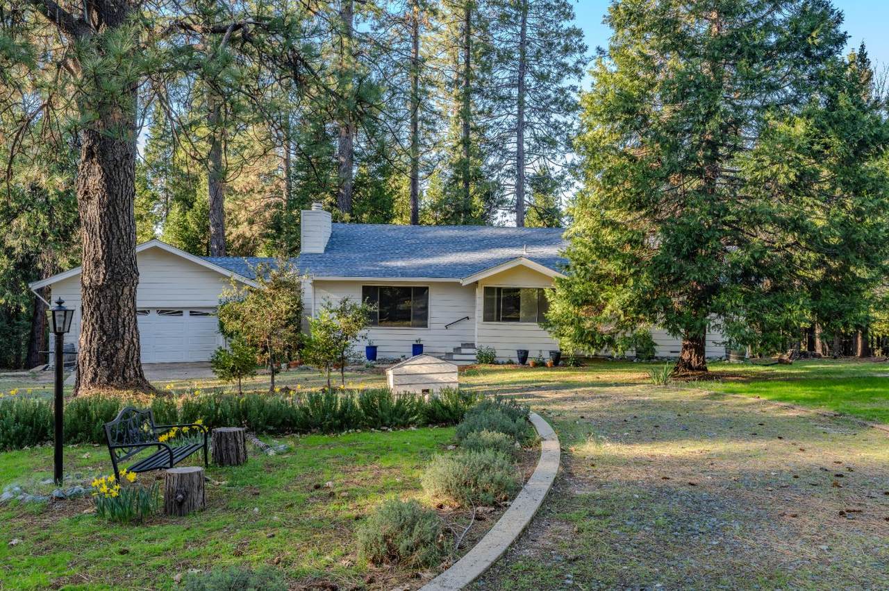 22401 Shake Ridge Road - Photo 1