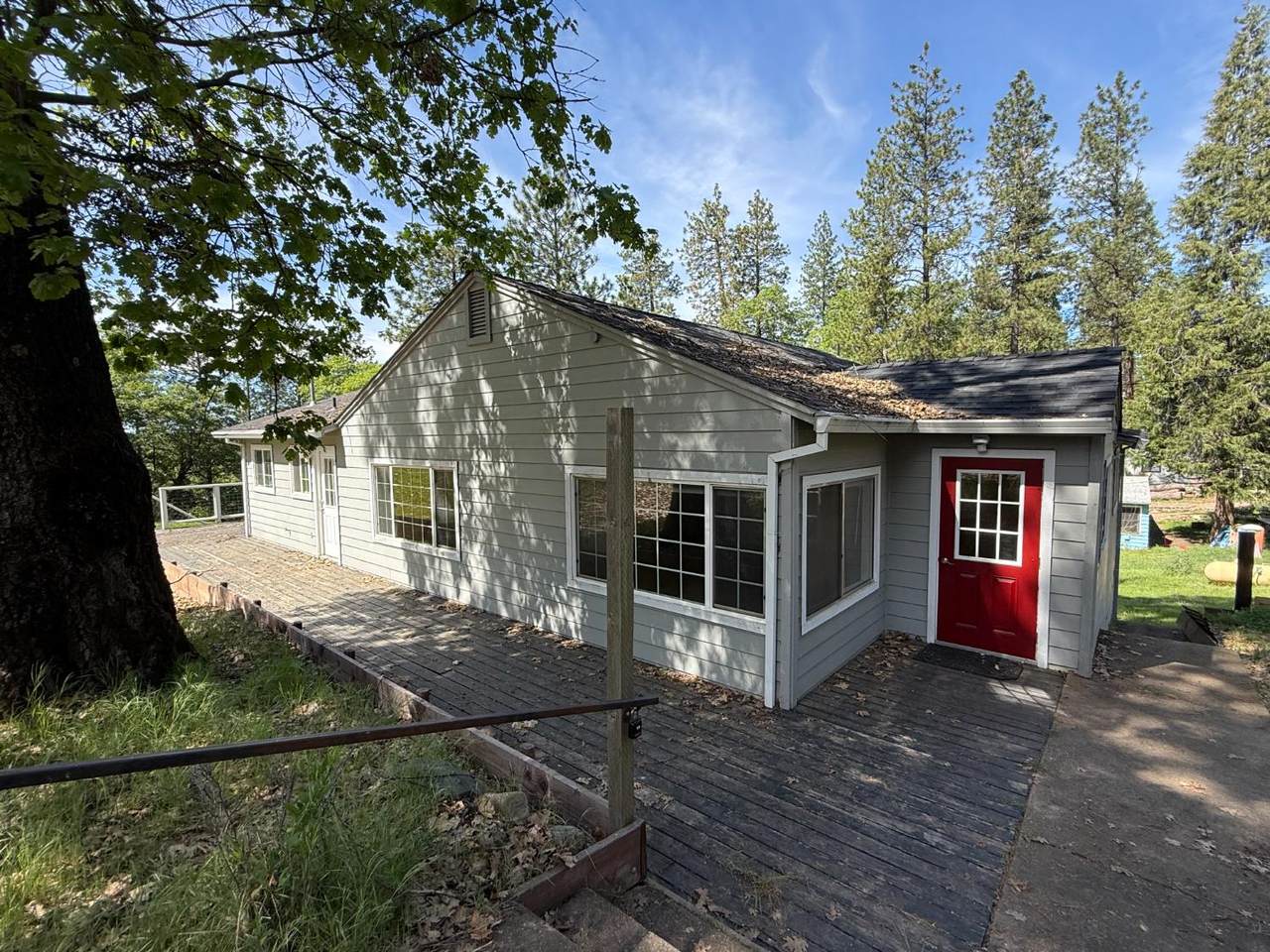3717 Railroad Flat Road - Photo 1