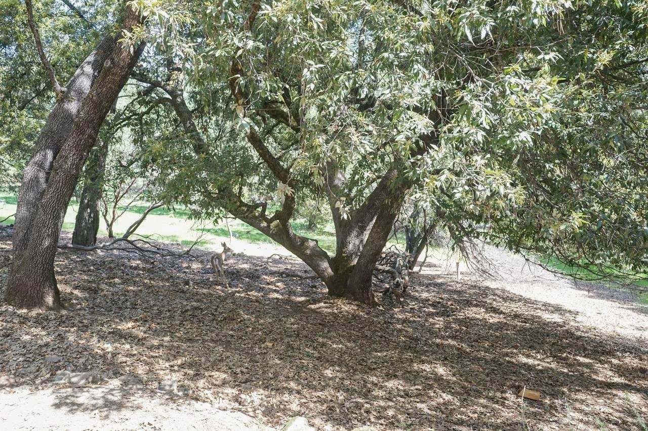 https://bt-photos.global.ssl.fastly.net/sacramento/1280_boomver_1_561061500-2.jpg
