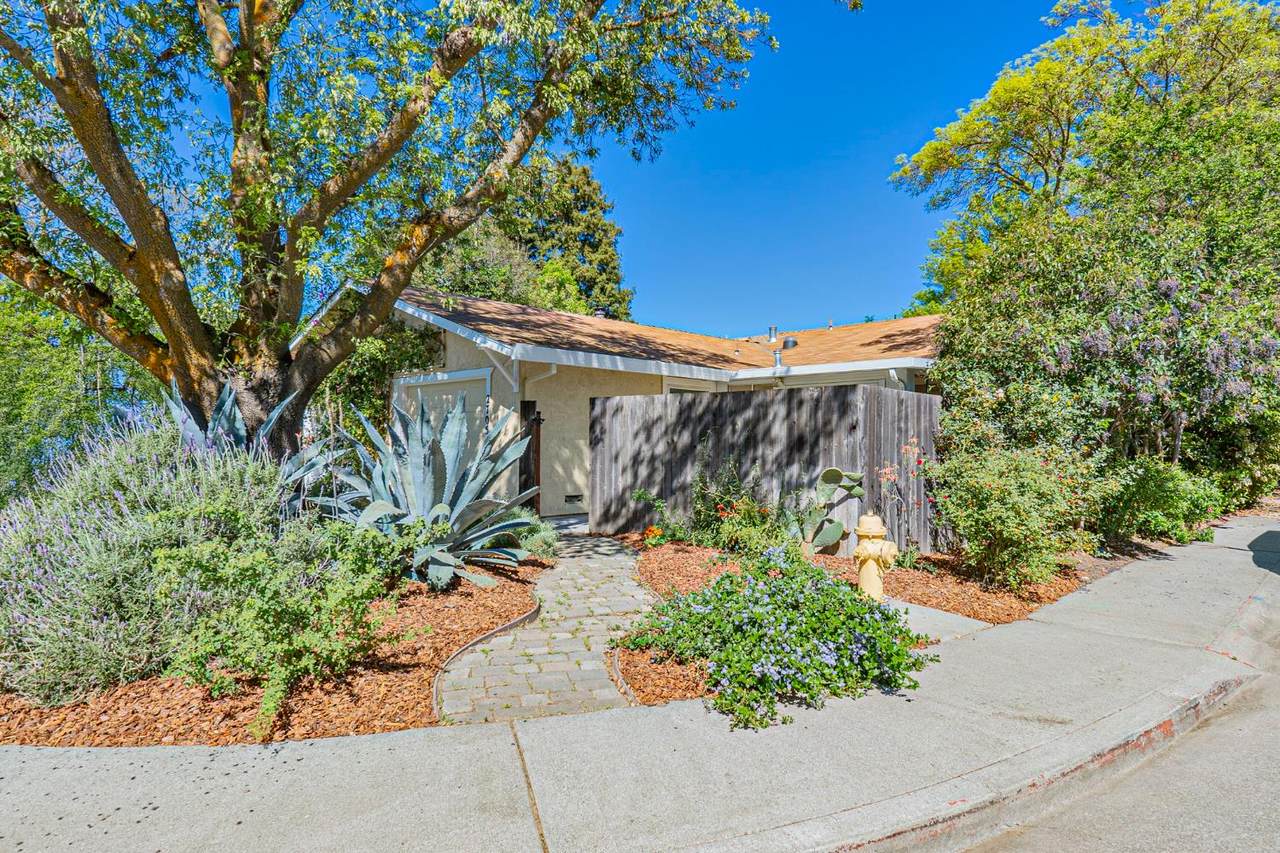 https://bt-photos.global.ssl.fastly.net/sacramento/1280_boomver_1_561062252-2.jpg