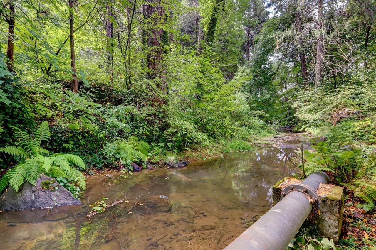 https://bt-photos.global.ssl.fastly.net/sacramento/1280_boomver_1_561062769-2.jpg