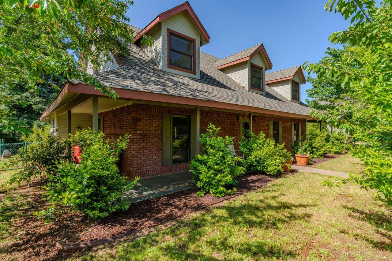 16915 Red Mule Road - Photo 1