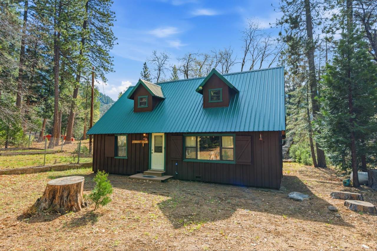 17 Squirrel Hollow - Photo 1