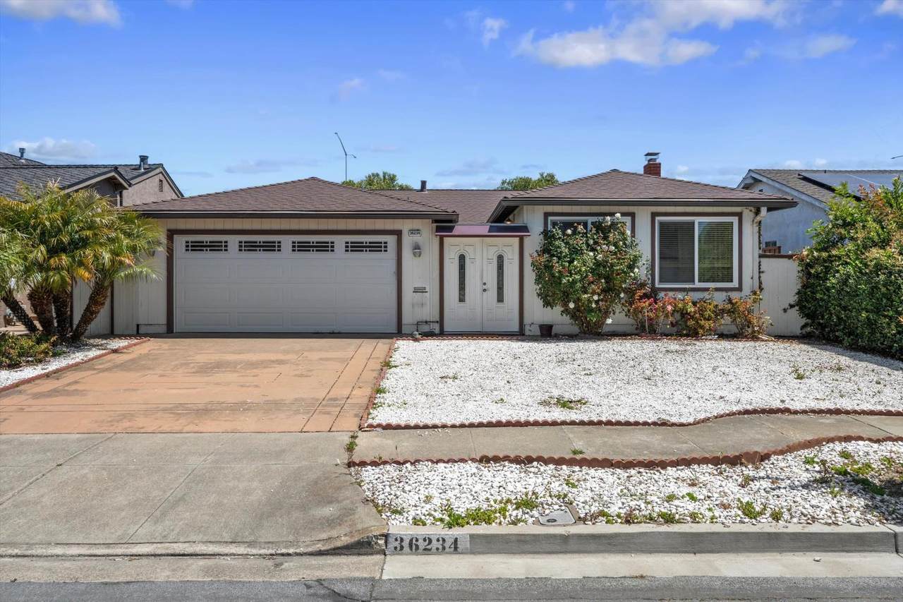 36234 Worthing Drive - Photo 1