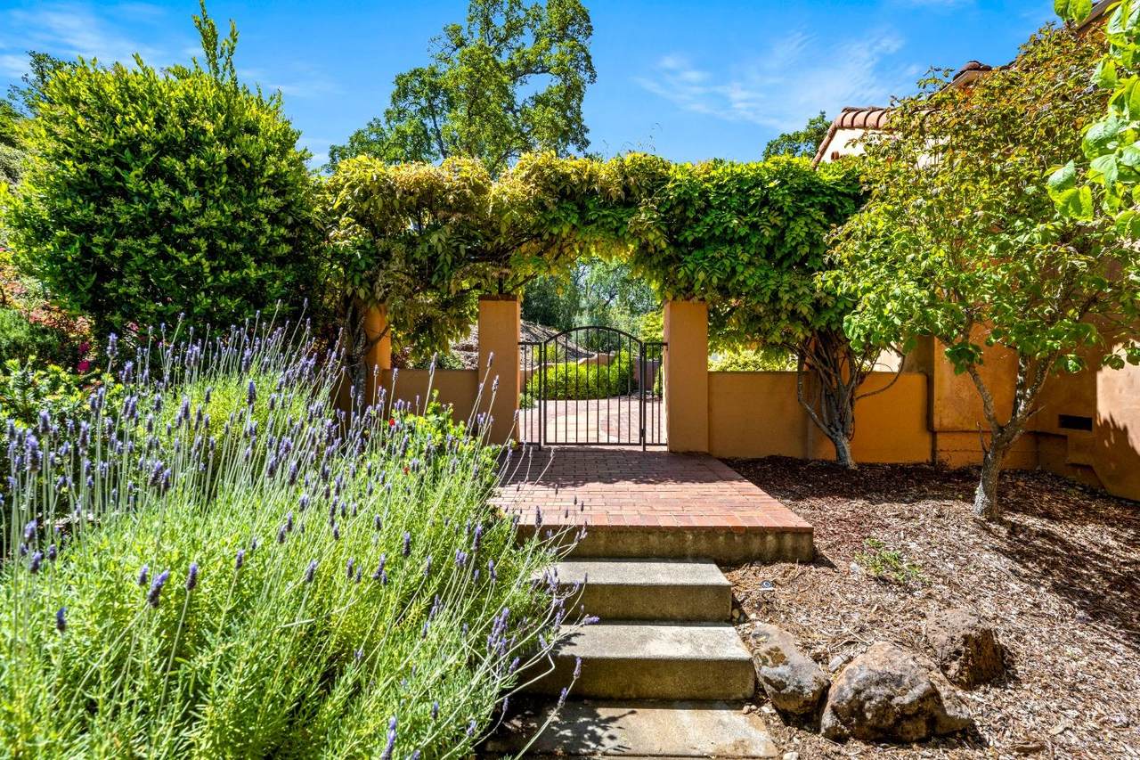 https://bt-photos.global.ssl.fastly.net/sacramento/1280_boomver_1_561065976-2.jpg