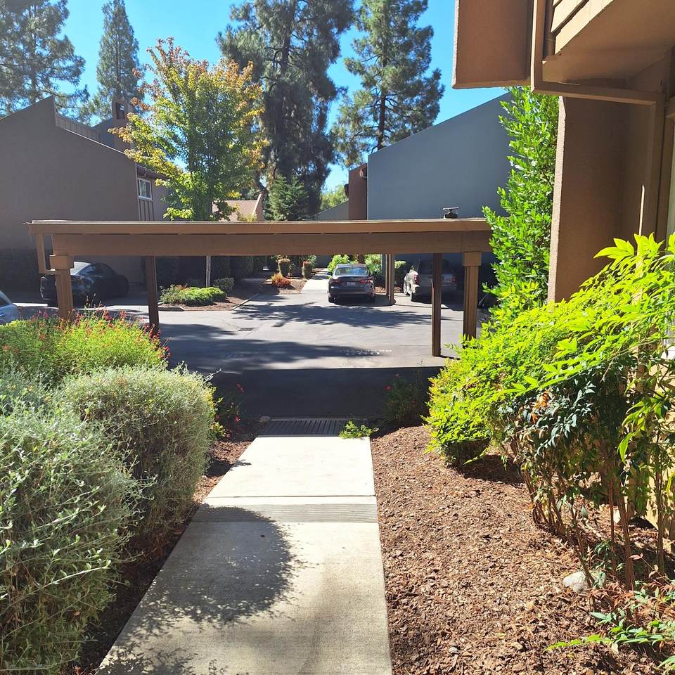 2007 Alta Loma Street - Photo 1