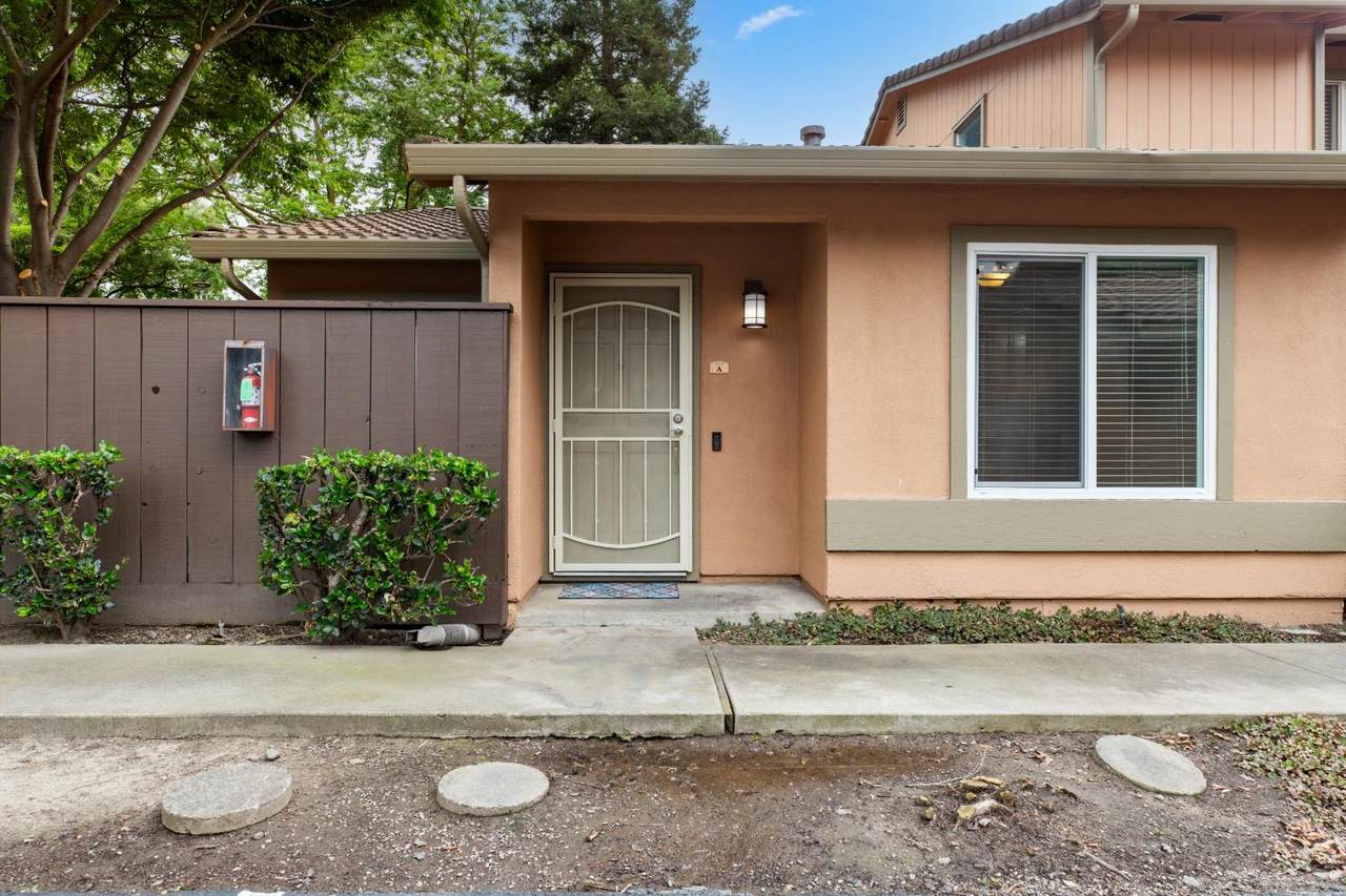 4009 Elmo Loop - Photo 1
