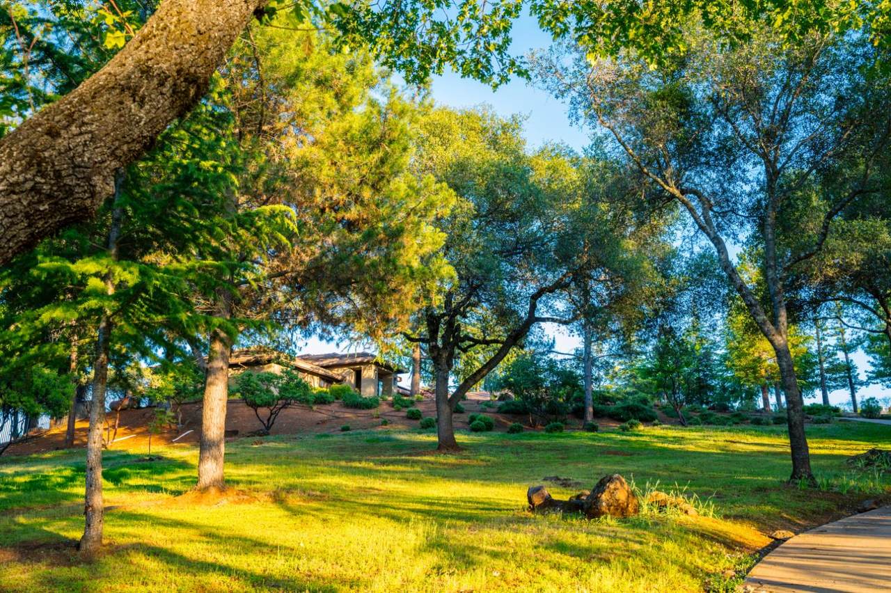 https://bt-photos.global.ssl.fastly.net/sacramento/1280_boomver_1_561091562-2.jpg