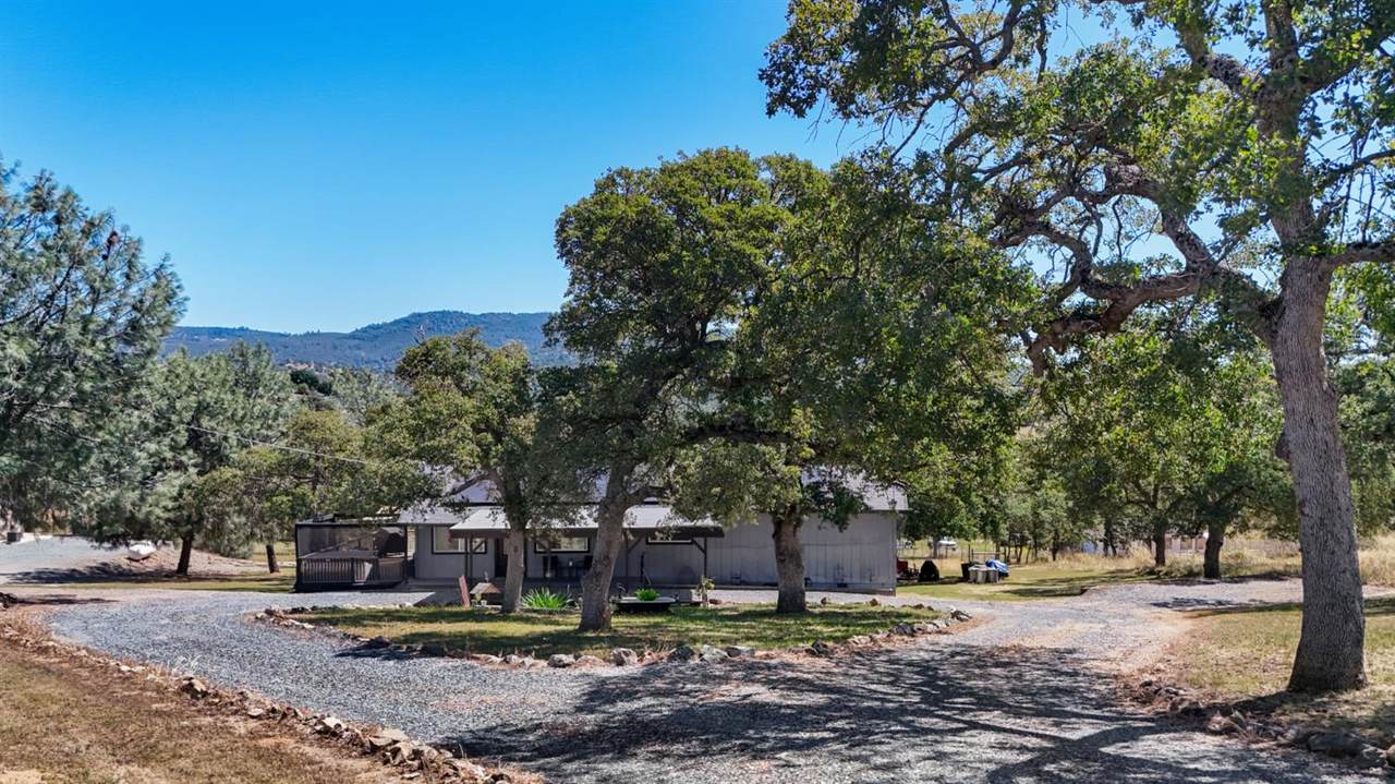 10448 Lozano Street - Photo 1