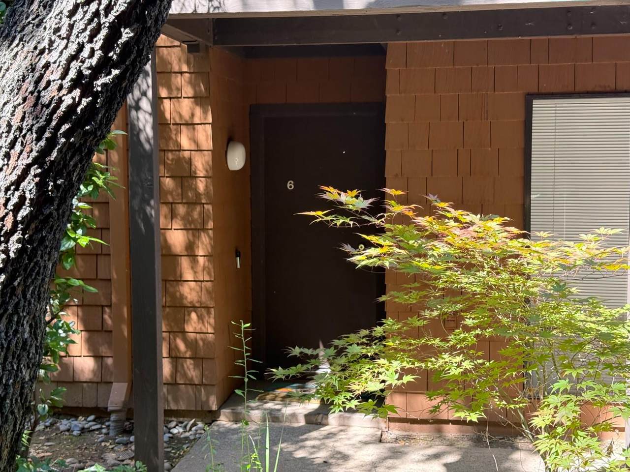 790 Woodside Lane - Photo 1