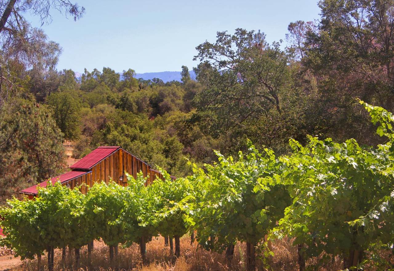 49610 House Ranch Road - Photo 1