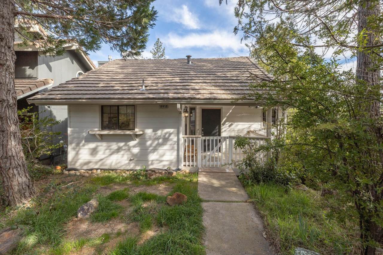 50850 Smoke Tree - Photo 1