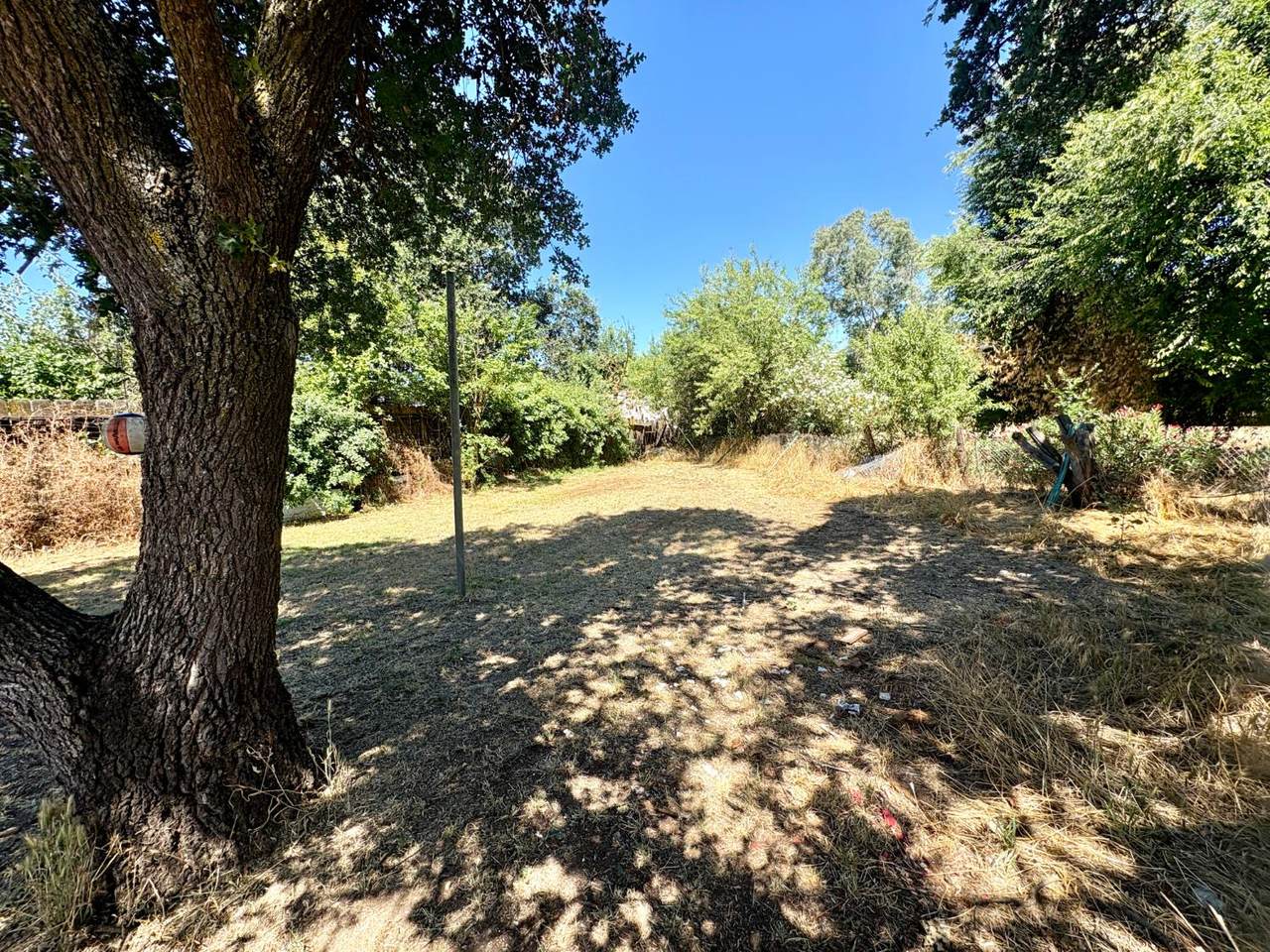 https://bt-photos.global.ssl.fastly.net/sacramento/1280_boomver_1_561170063-2.jpg