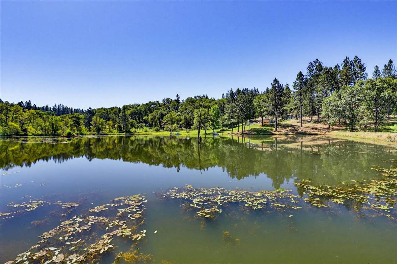 https://bt-photos.global.ssl.fastly.net/sacramento/1280_boomver_1_561170472-2.jpg