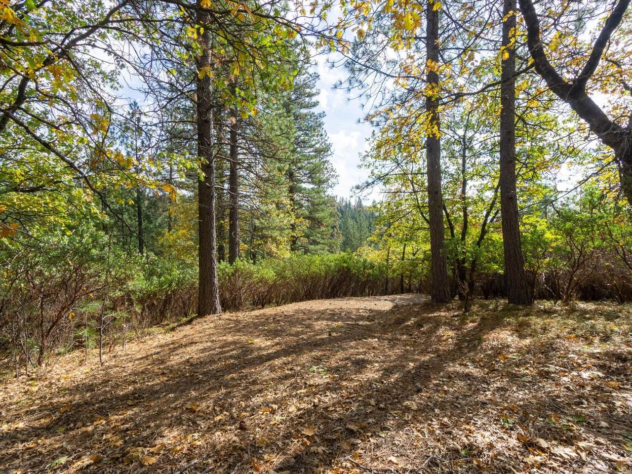 5031 Anne Louise Lane - Photo 1