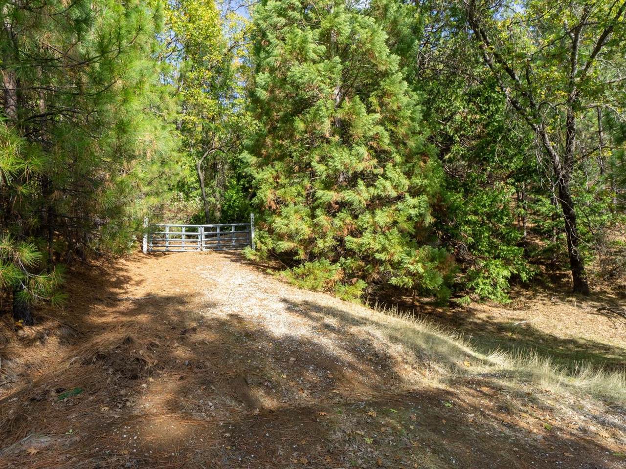https://bt-photos.global.ssl.fastly.net/sacramento/1280_boomver_1_561170871-2.jpg