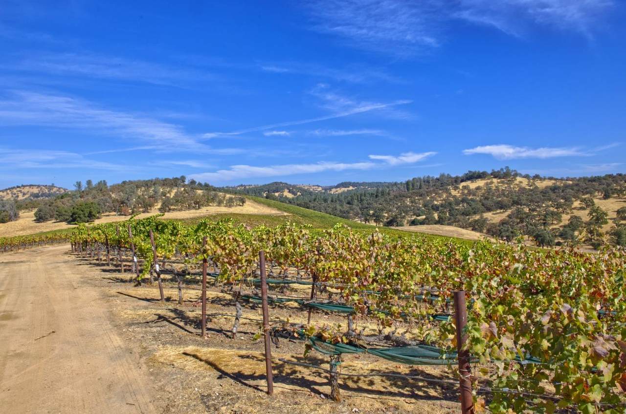 https://bt-photos.global.ssl.fastly.net/sacramento/1280_boomver_1_561170910-2.jpg