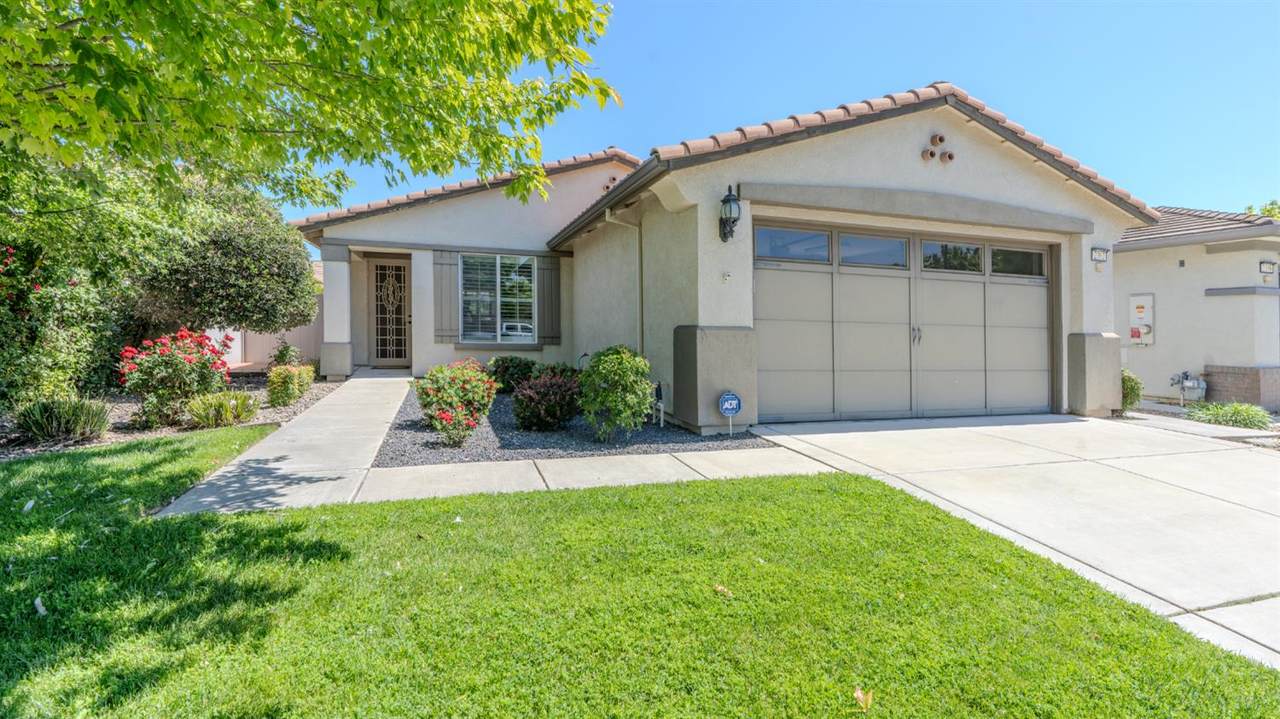 2362 Shadow Berry Drive - Photo 1