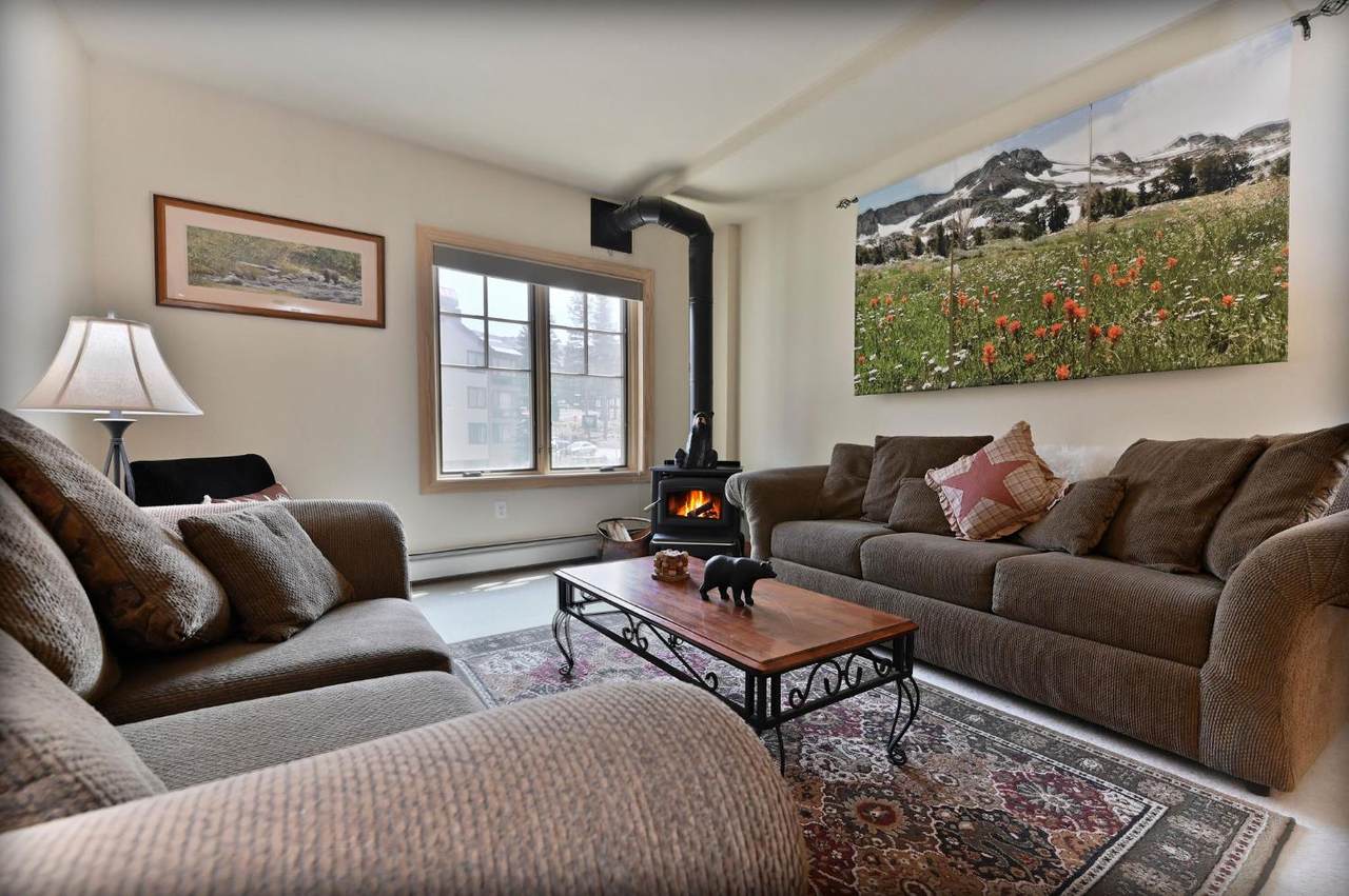 1200 Kirkwood Meadows Drive - Photo 1