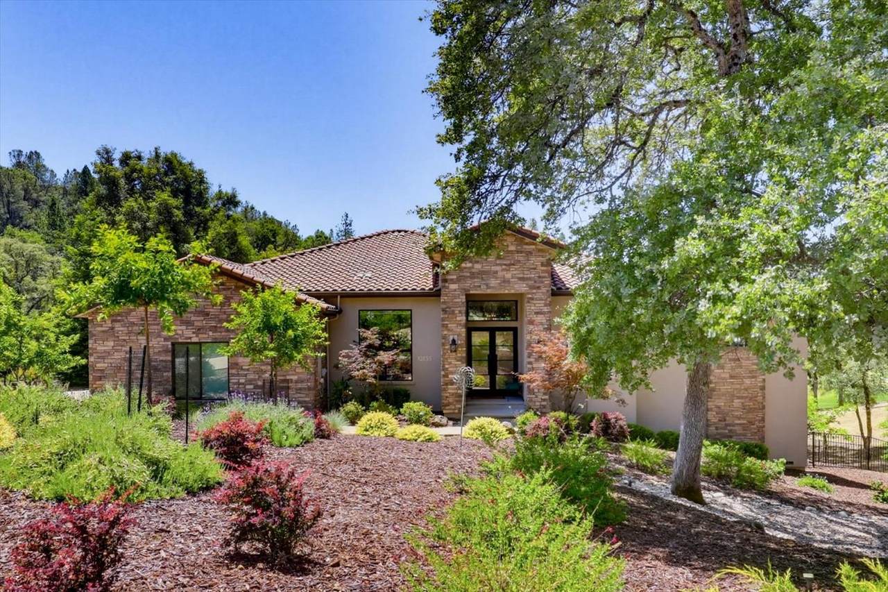 13056 Austin Forest Circle - Photo 1