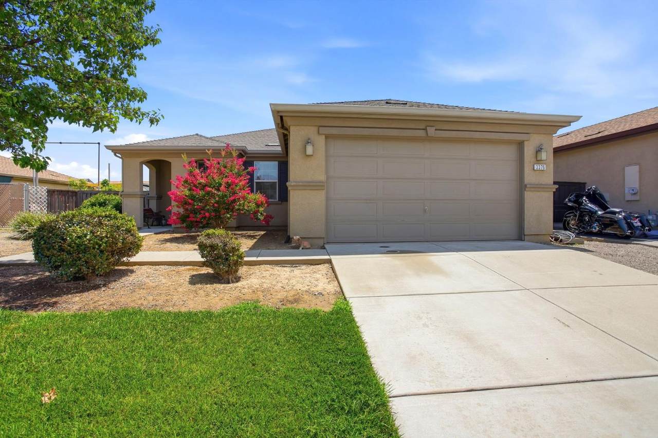 3376 Apricot Street - Photo 1