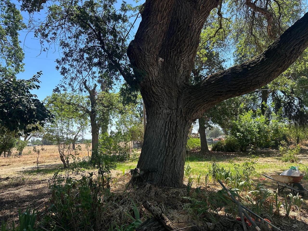 https://bt-photos.global.ssl.fastly.net/sacramento/1280_boomver_1_561186158-2.jpg