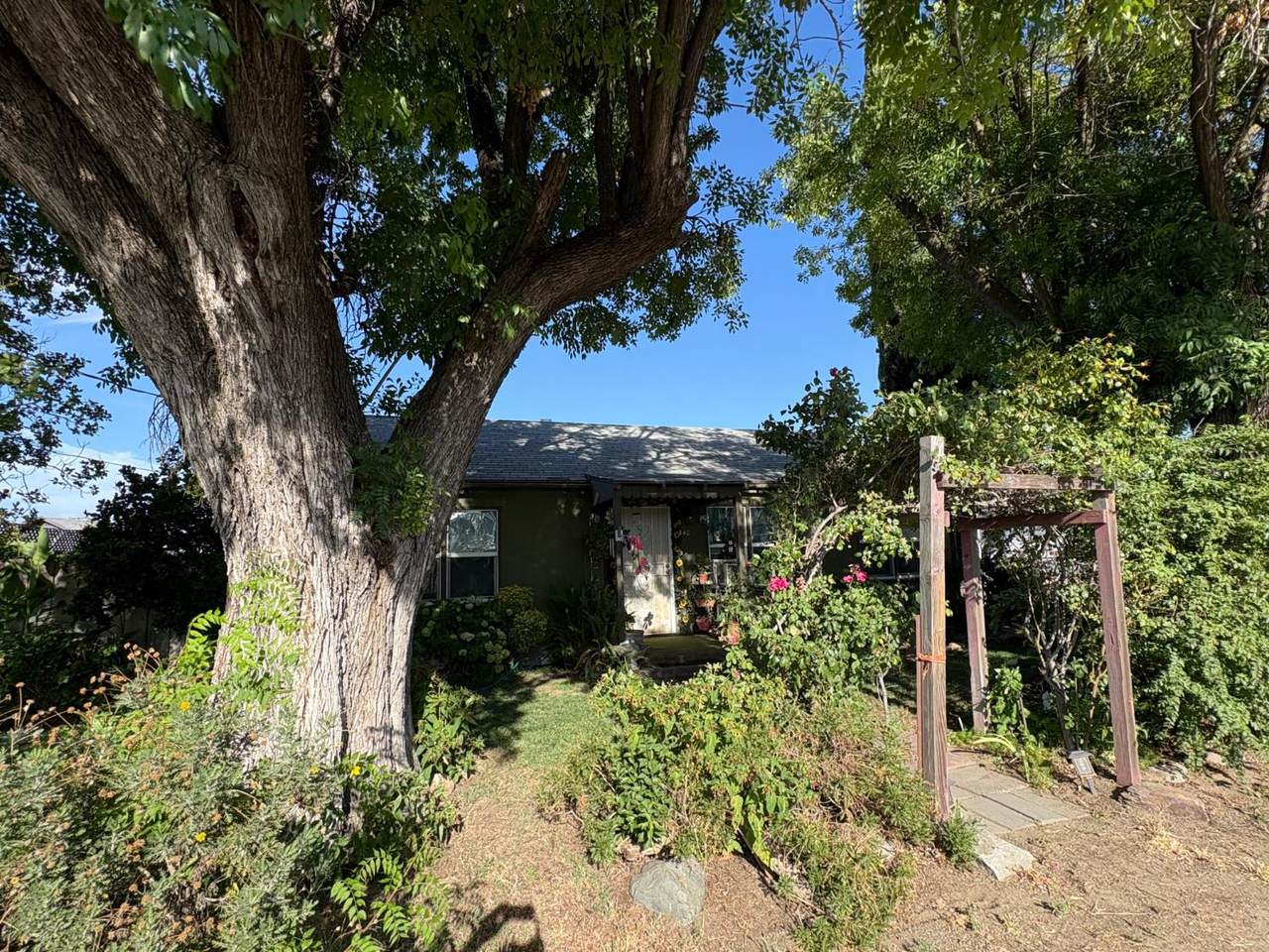 340 Bothun Way - Photo 1
