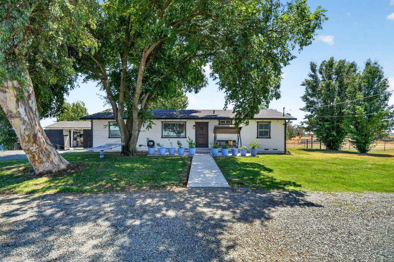 11490 Arno Road - Photo 1
