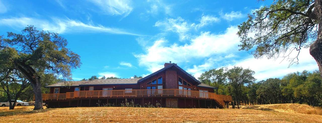 3951 Safari Trail - Photo 1
