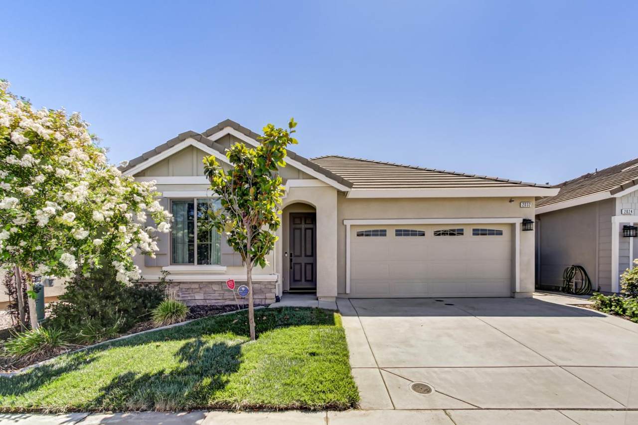 2032 Metalmark Street - Photo 1