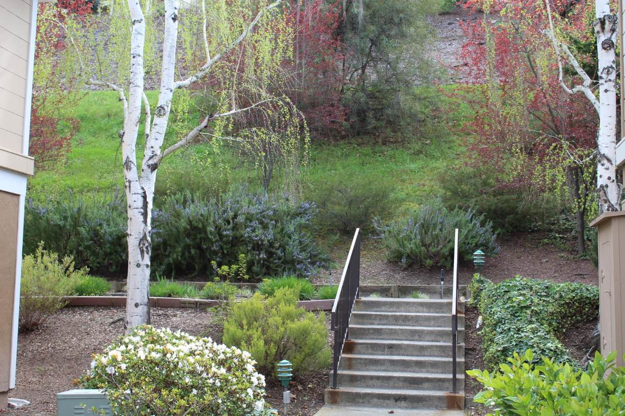 1405 Ptarmigan Drive - Photo 1