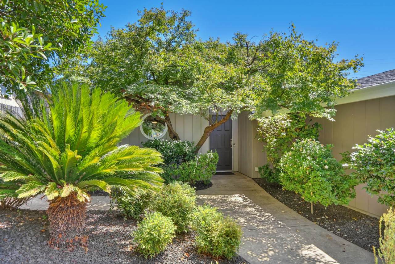 https://bt-photos.global.ssl.fastly.net/sacramento/1280_boomver_1_561198393-2.jpg