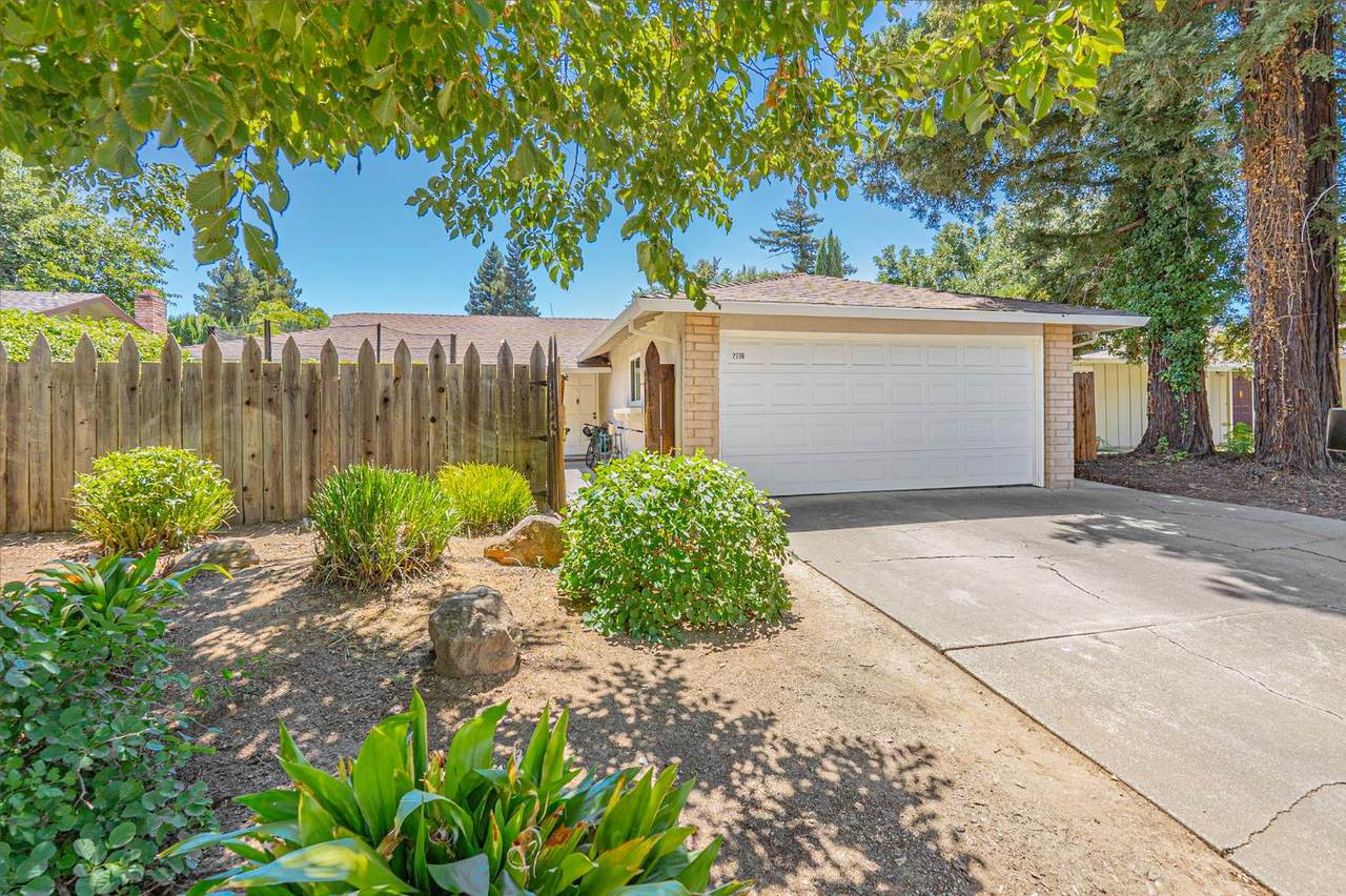 https://bt-photos.global.ssl.fastly.net/sacramento/1280_boomver_1_561200701-2.jpg