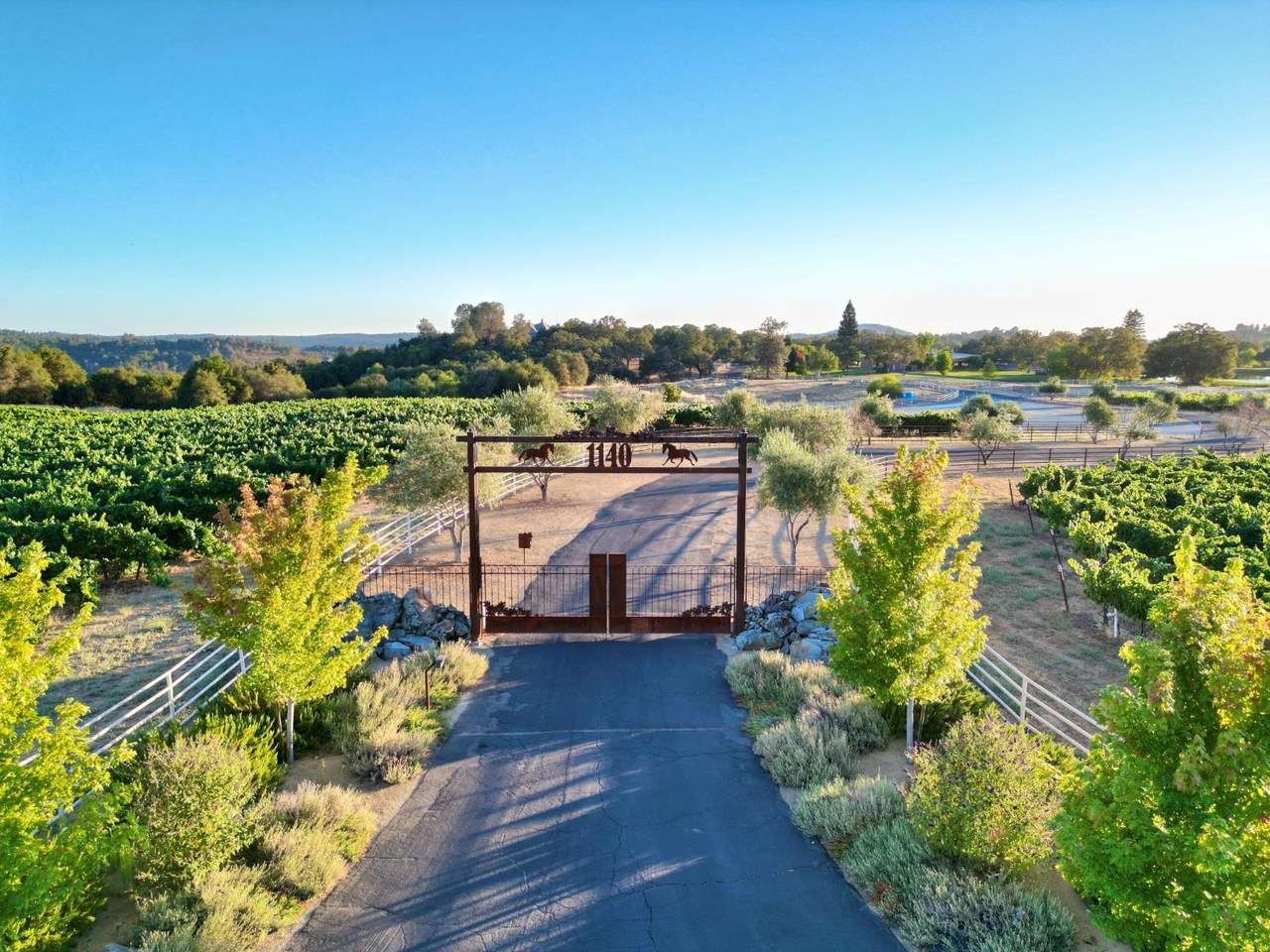 https://bt-photos.global.ssl.fastly.net/sacramento/1280_boomver_1_561201929-2.jpg