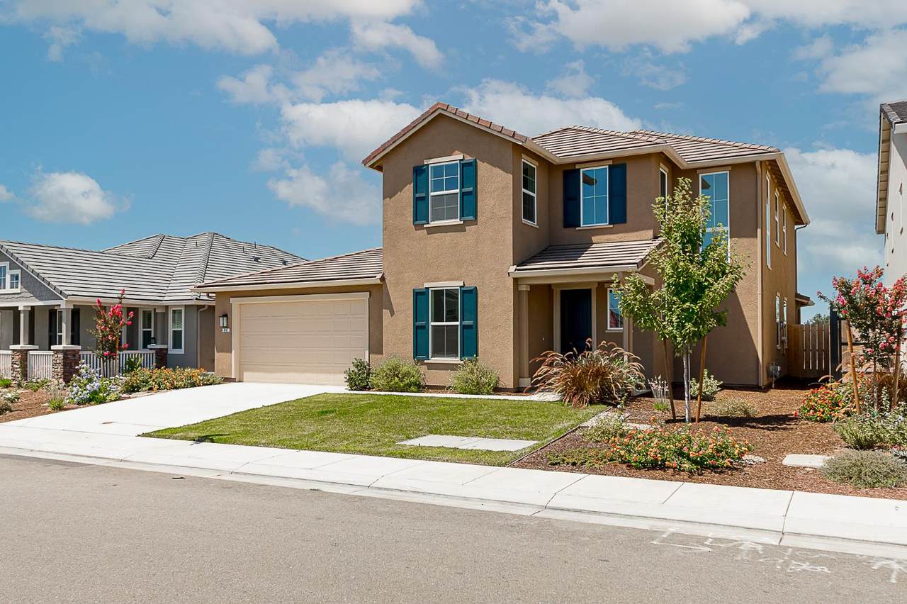 1807 Birdie Street - Photo 1