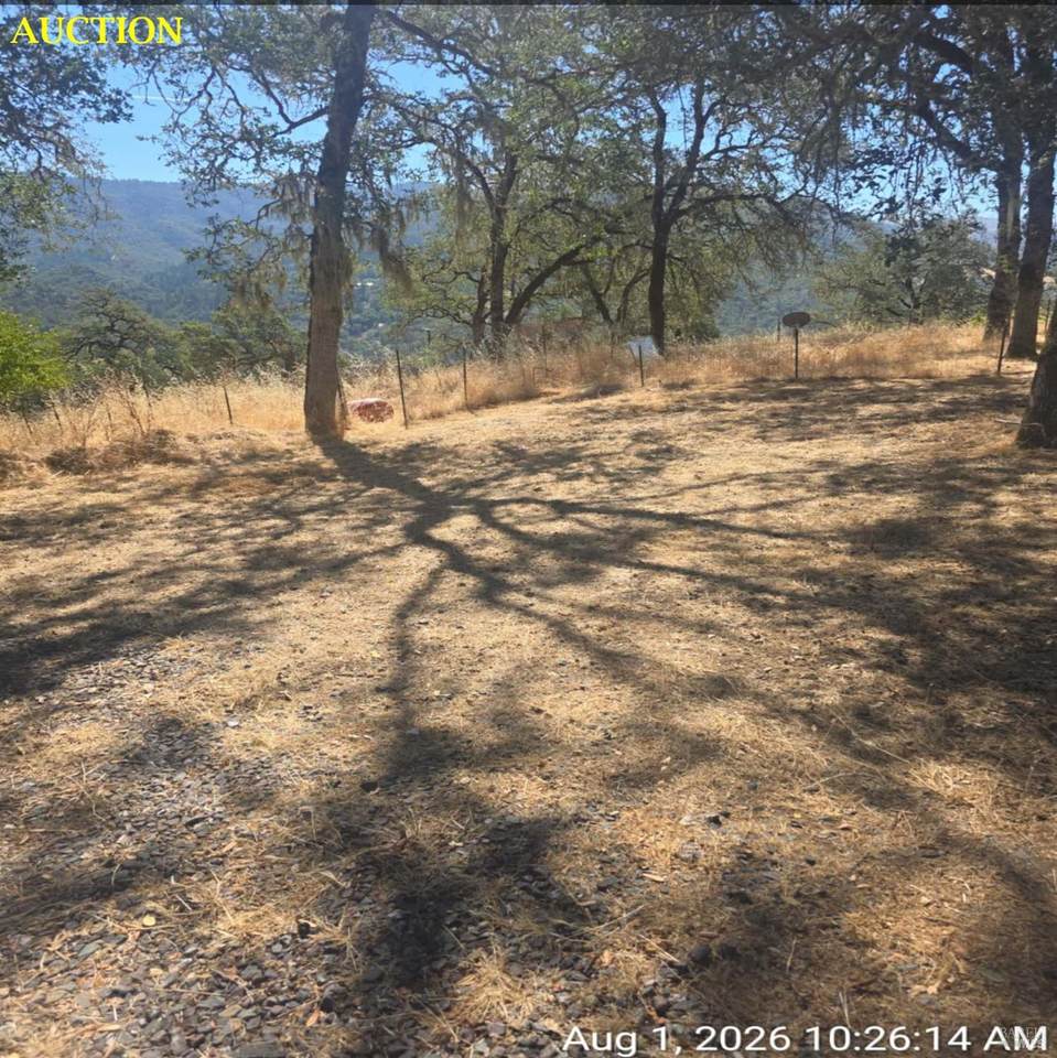 https://bt-photos.global.ssl.fastly.net/sacramento/1280_boomver_1_561202127-2.jpg