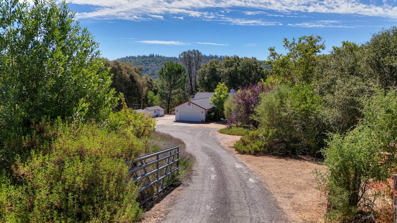 4644 Cosumnes View Trail - Photo 1