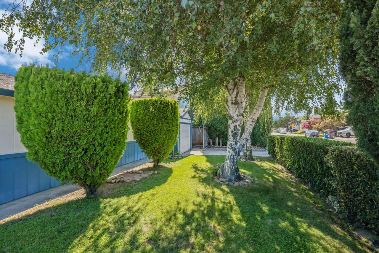 https://bt-photos.global.ssl.fastly.net/sacramento/1280_boomver_1_561203031-2.jpg