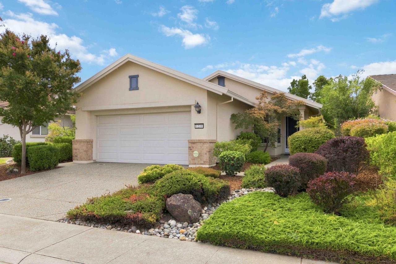 1239 Freschi Lane - Photo 1