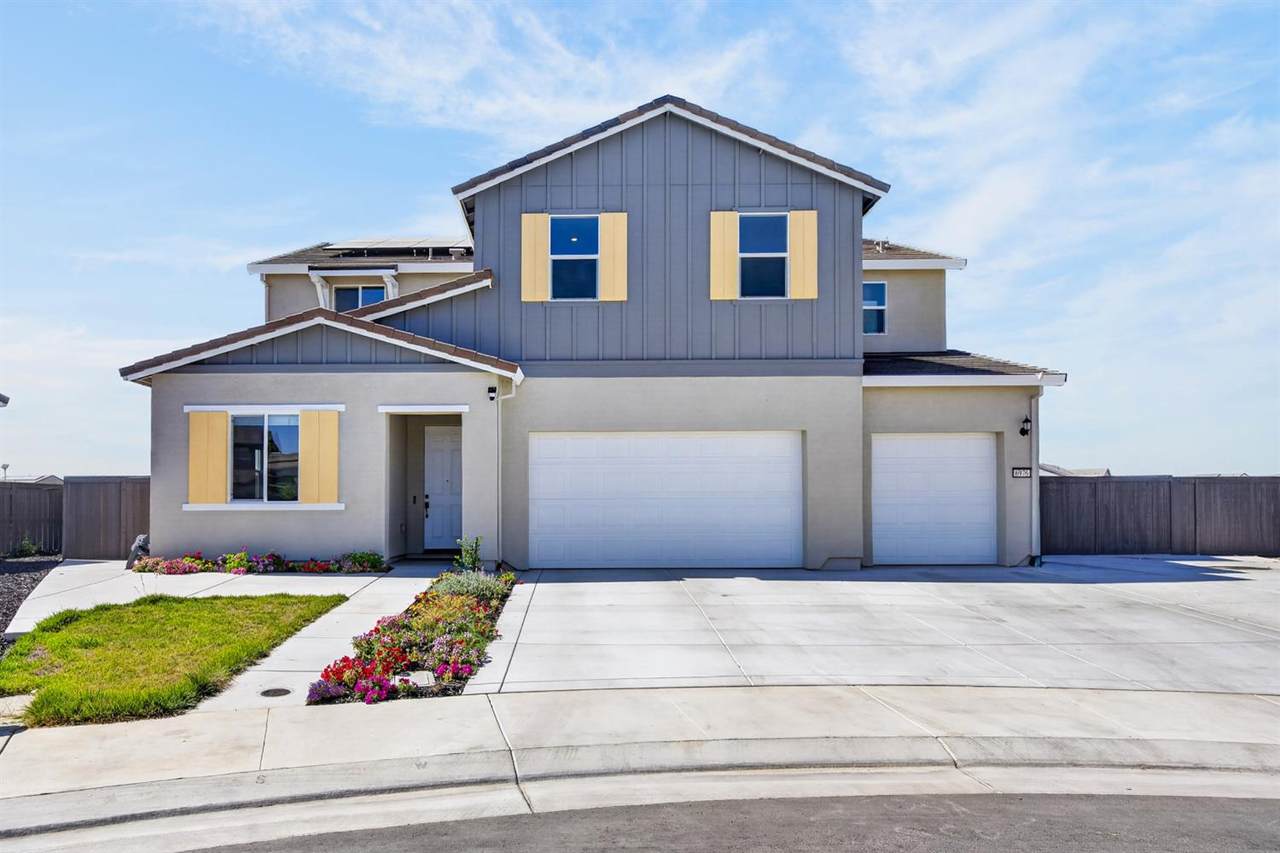 6976 Albatross Drive - Photo 1
