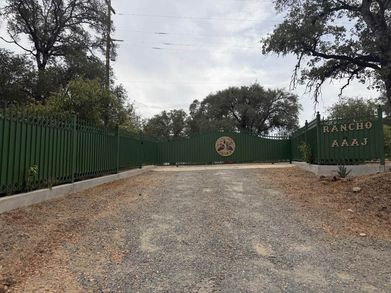 49 Drescher Tract - Photo 1