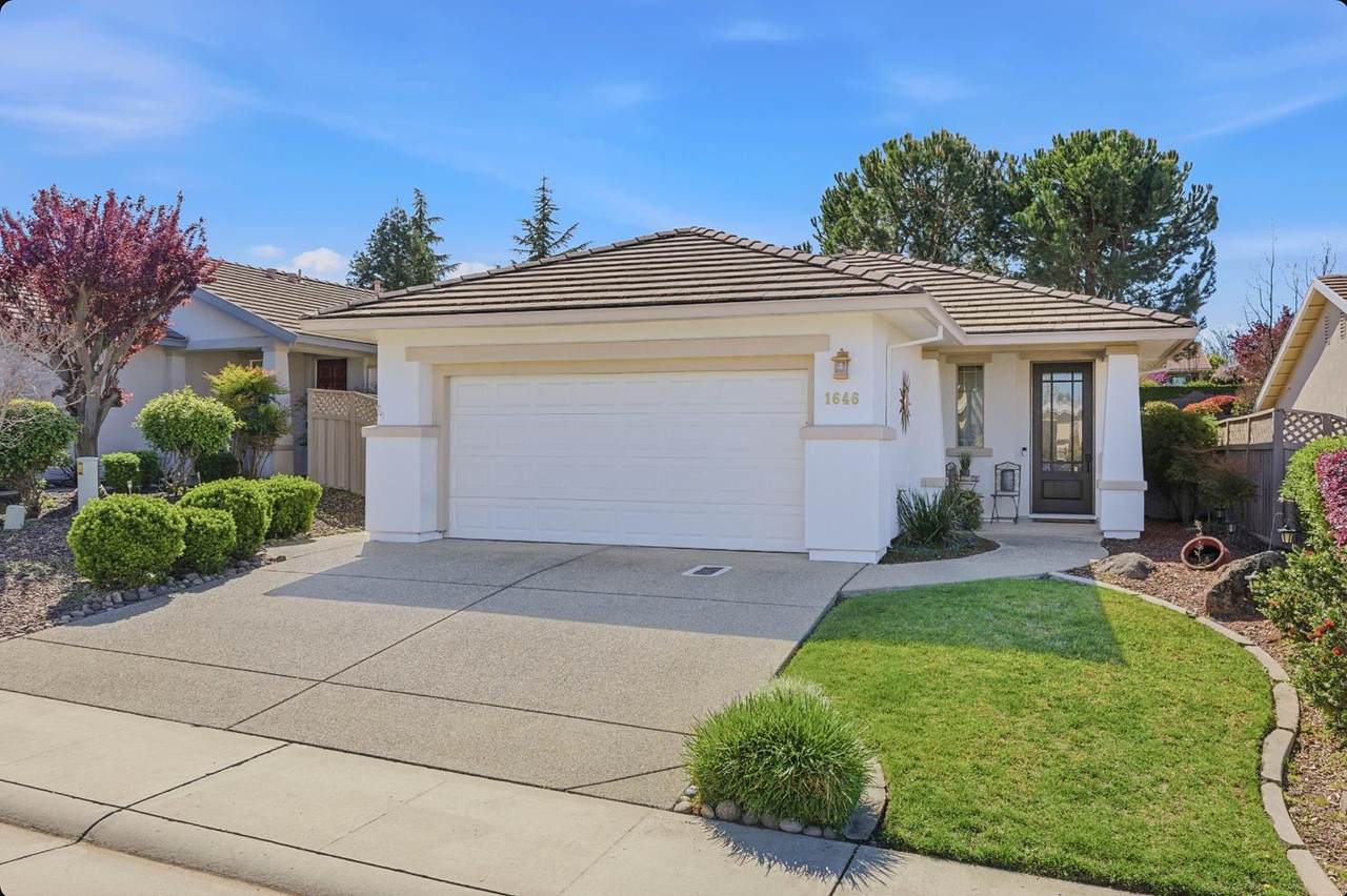 1646 Grand Pheasant - Photo 1