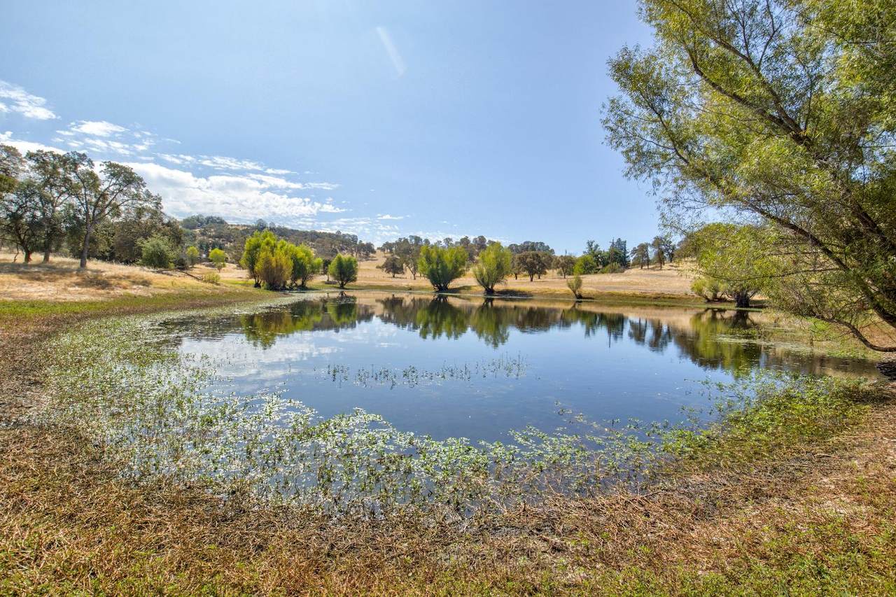 5065 Messing Road - Photo 1