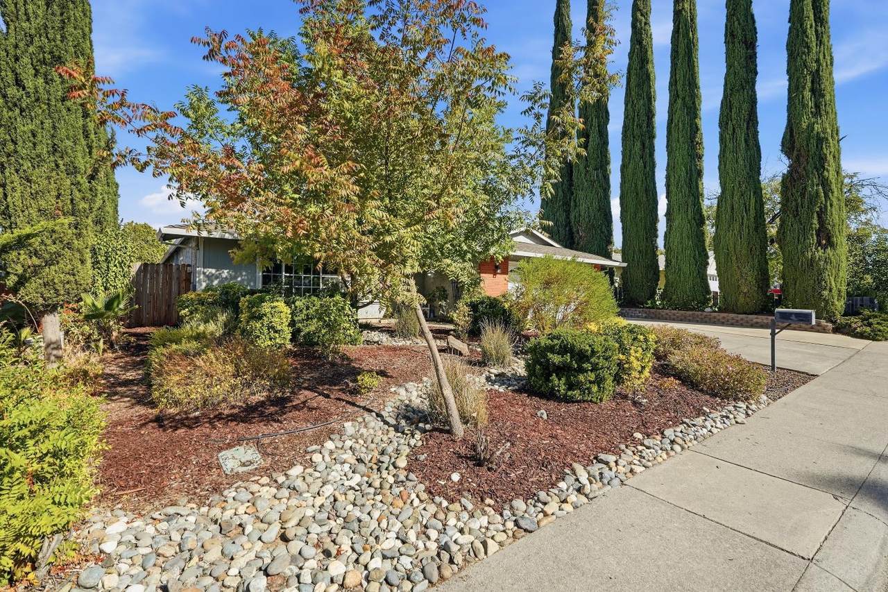 https://bt-photos.global.ssl.fastly.net/sacramento/1280_boomver_1_561222909-2.jpg